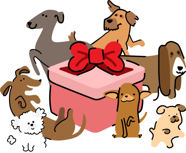 Puppy Pack wyprawka